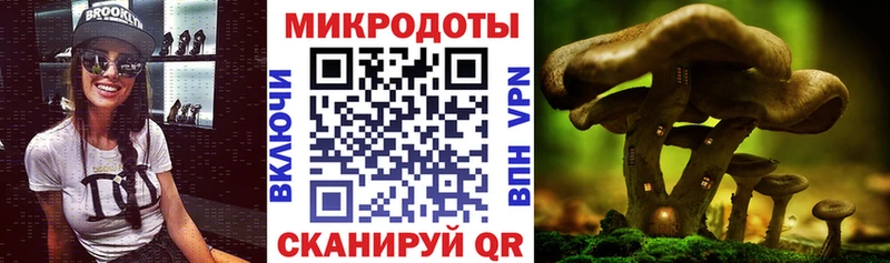 Псилоцибиновые грибы MAGIC MUSHROOMS  Купить  Междуреченск 